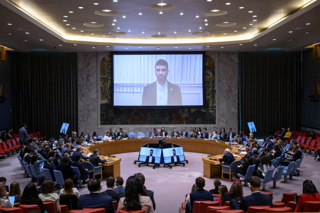 安理会关于中东局势的会议全景,包括巴勒斯坦问题。
